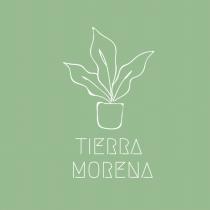 TIERRA MORENA