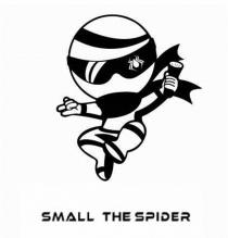 SMALL THE SPIDER