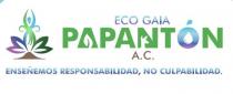 ECO GAIA PAPANTON AC; ENSENEMOS RESPONSABILIDAD; NO CULPABILIDAD