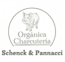 SCHENCK & PANNACCI