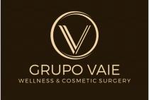 GRUPO VAIE WELLNESS & COSMETIC SURGERY