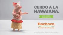 CERDO A LA HAWAIANA. TU 