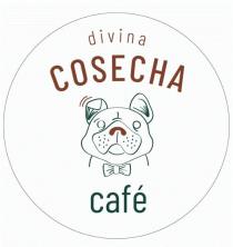 DIVINA COSECHA