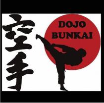 ORGANIZACION INTERNACIONAL DOJO BUNKAI KARATE DO