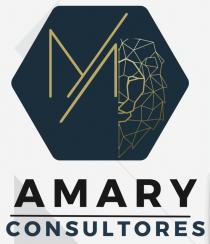 AMARY CONSULTORES