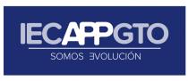 IECAPPGTO SOMOS EVOLUCION