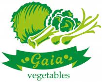 GAIA VEGETABLES
