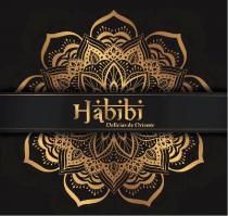 HABIBI DELICIAS DE ORIENTE
