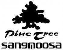 PINE TREE SANGMOOSA