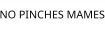 NO PINCHES MAMES