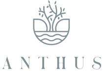 ANTHUS