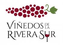 VIÑEDOS DE LA RIVERA SUR