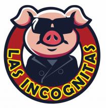 LAS INCOGNITAS