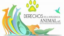 DERECHOS DE LA INTELIGENCIA ANIMAL