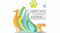 DERECHOS DE LA INTELIGENCIA ANIMAL
