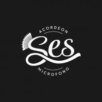 SES ACORDEON MICROFONO