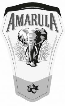 AMARULA