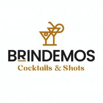 BRINDEMOS COCKTAILS & SHOTS