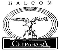 HALCON CEYPABASA
