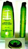 GARNIER FRUCTIS