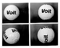VOIT