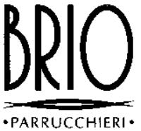 BRIO PARRUCCHIERI