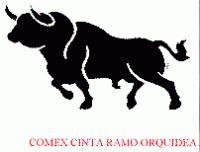 COMEX RAMO ORQUIDEA