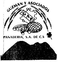 G A P GUZMAN Y ASOCIADOS