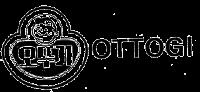 OTTOGI