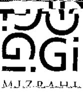 GIGI MIZRAHI