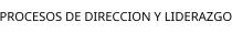 PROCESOS DE DIRECCION Y LIDERAZGO