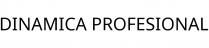 DINAMICA PROFESIONAL