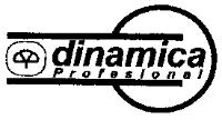 DINAMICA PROFESIONAL