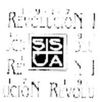 REVOLUCION 1917 SJSA
