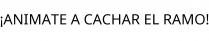 ¡ANIMATE A CACHAR EL RAMO!