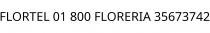 FLORTEL 01 800 FLORERIA 35673742