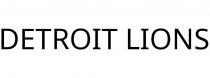 DETROIT LIONS