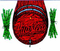 HUASTECO VERACRUZANO