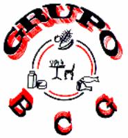GRUPO BCG