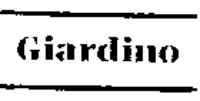 GIARDINO