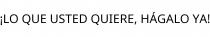 ¡LO QUE USTED QUIERE; HÁGALO YA!