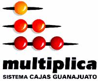 MULTIPLICA SISTEMA CAJAS GUANAJUATO