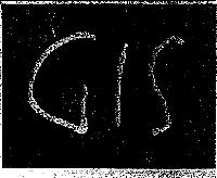 GIS