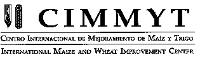 CIMMYT; CENTRO INTERNACIONAL DE MEJORAMIENTO DE MAIZ Y TRIGO INTERNATIONAL MAIZE AND WHEAT IMPROVEMENT CENTER