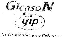 GLEASON GIP