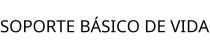 SOPORTE BÁSICO DE VIDA