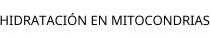 HIDRATACIÓN EN MITOCONDRIAS