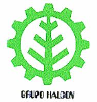 GRUPO HALCON