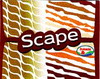 BOLONIA SCAPE