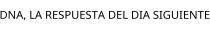 DNA; LA RESPUESTA DEL DIA SIGUIENTE